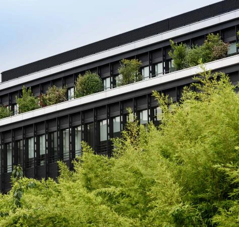 Illustration associated with the International Factoring Pass benefits.